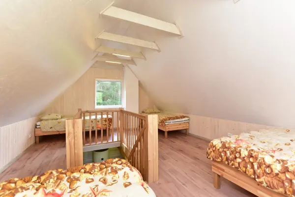 Medinis Namelis nr.2